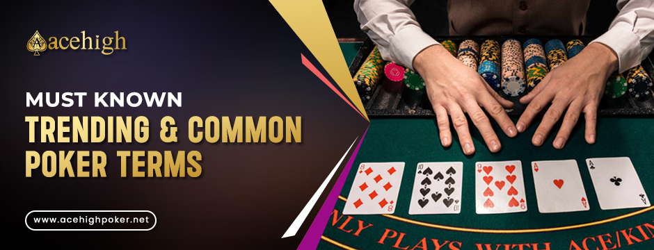 Common Poker Actions & Terms to Excel in Your Game - AceHigh Poker